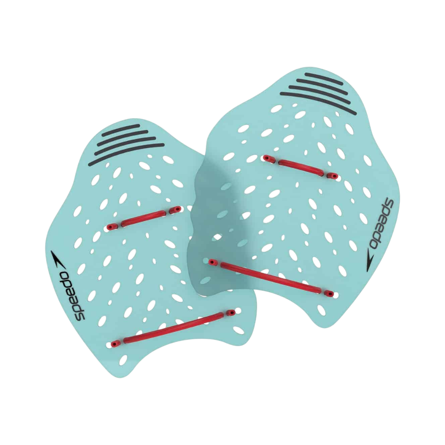 Speedo Power Plus Paddles
