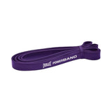 Everlast  Power Band