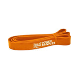 Everlast  Power Band