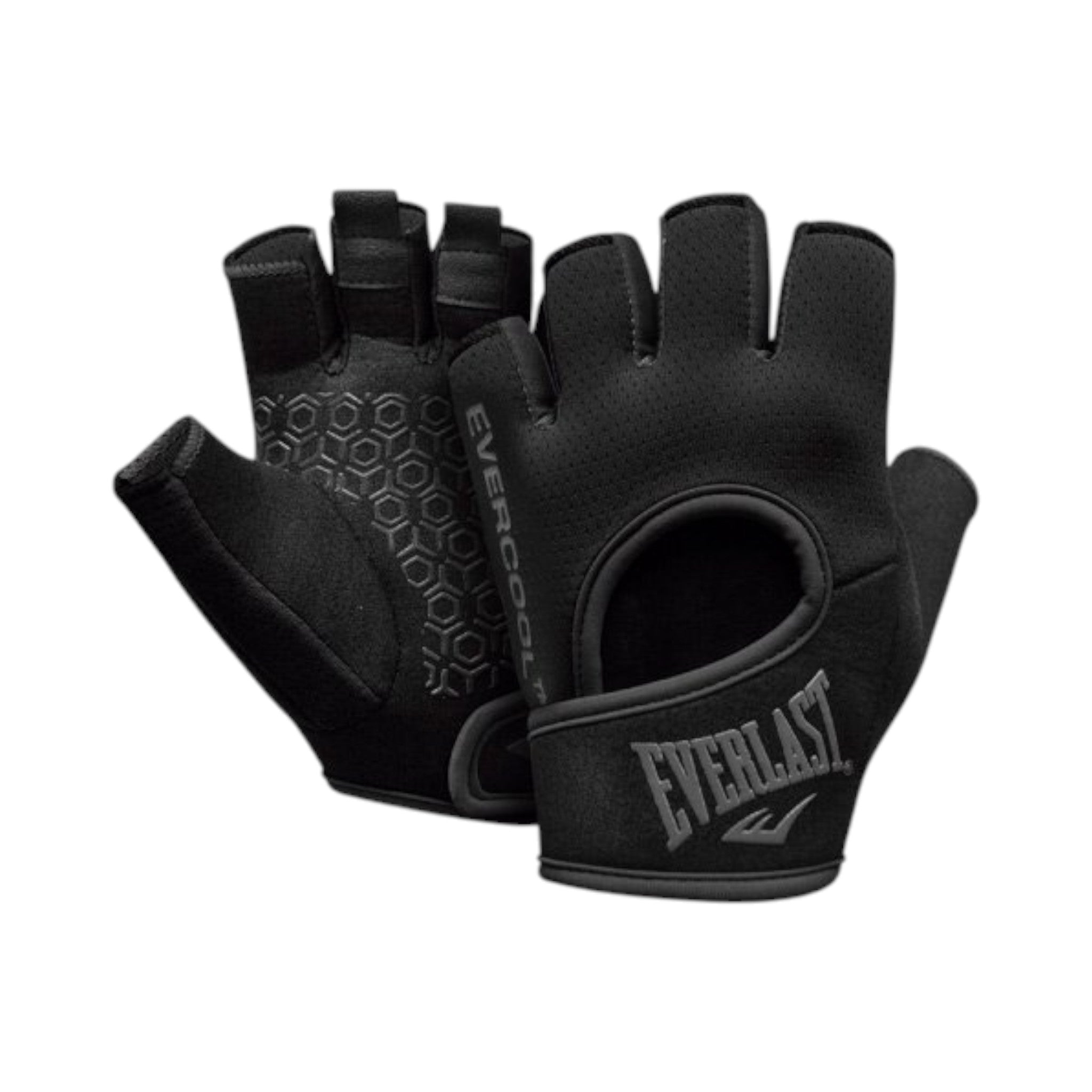 EVERLAST Heather II