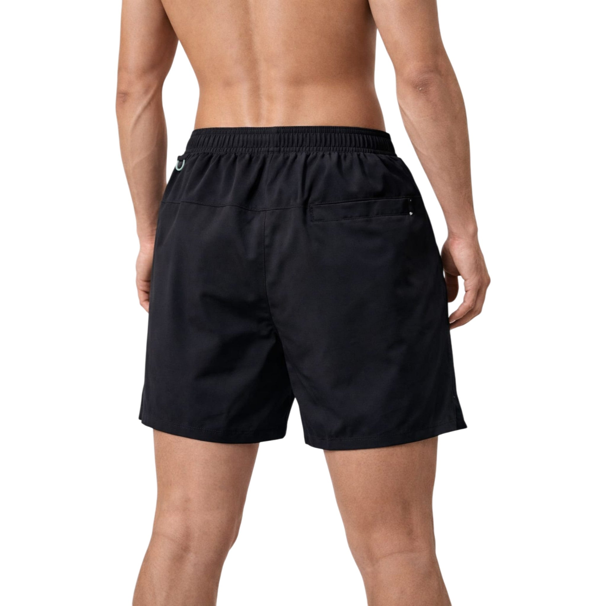 Volleys Men Everlast Kelly